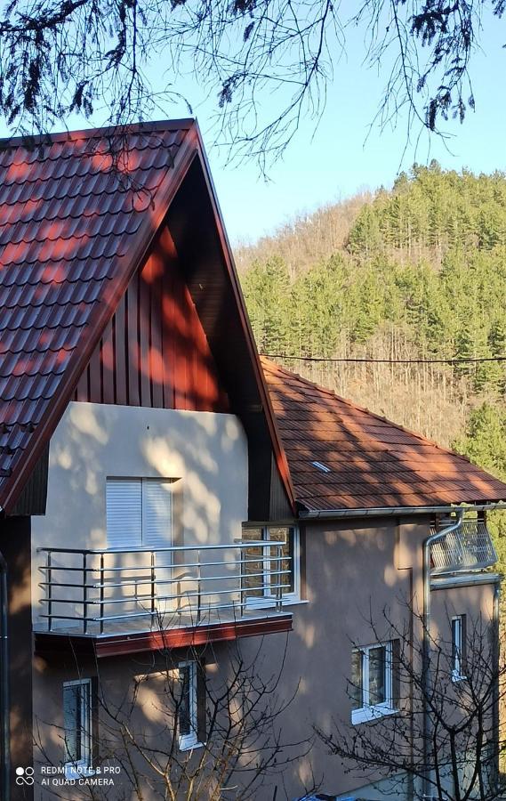Guest House Vila Aleksa Bogutovac Exterior foto