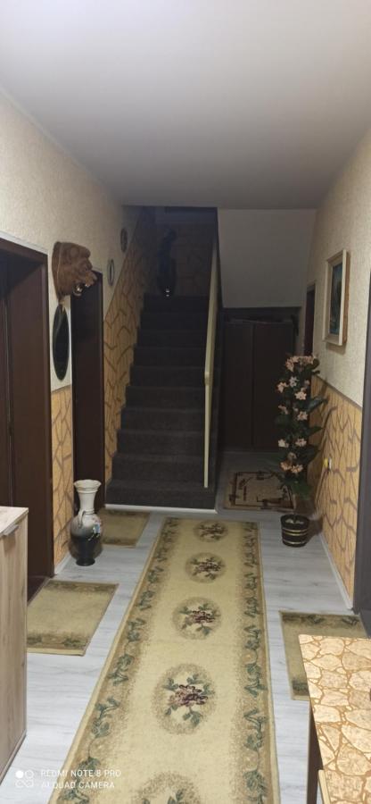 Guest House Vila Aleksa Bogutovac Exterior foto