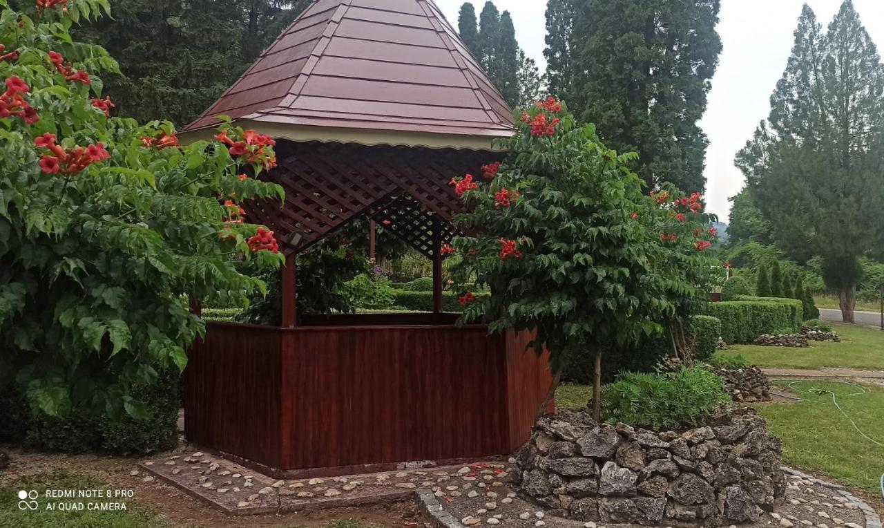 Guest House Vila Aleksa Bogutovac Exterior foto